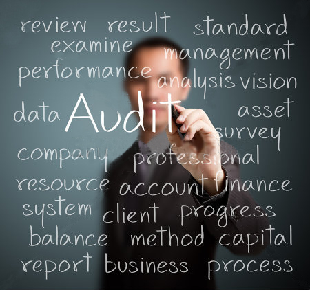 Audit SI OPTIMIS